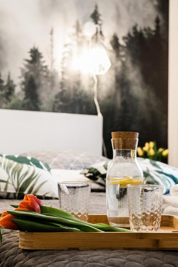 Apartament Rezydencja Vintage No1 Olsztyn  Ngoại thất bức ảnh